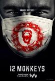 12 Monos