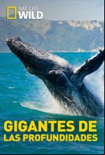 pelicula Gigantes de las profundidades